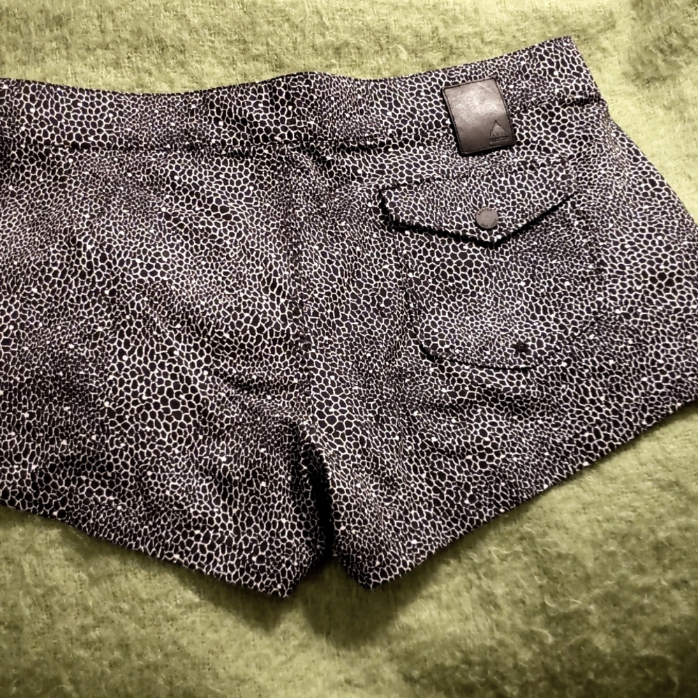 🌺🌴 NwoT Burton shorts